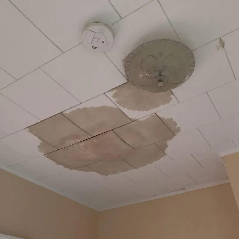 Ceiling Water Damage Repair in McMinnville, OR