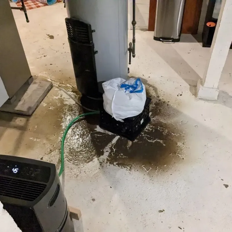 Sewage Backup Cleanup Service in McMinnville, OR